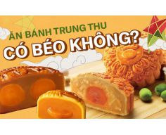 Ăn bánh trung thu có béo không? Cách ăn bánh trung thu không tăng cân