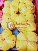 Bánh bông lan nở người hoa